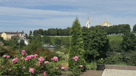 Прогноз погоды во Владимирской области на 18 июля 2025 года