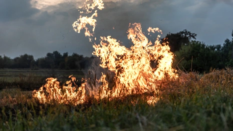 Во Владимирской области спасатели потушили 13 ландшафтных пожаров за сутки
