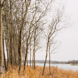 Прогноз погоды во Владимирской области на 2 октября