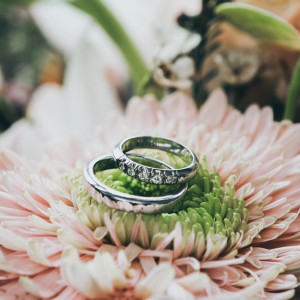 Во Владимире под суд пойдут организаторы фиктивных браков с иностранцами