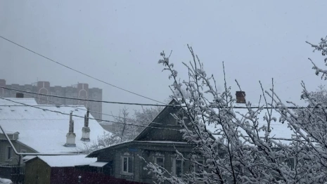 Владимир завалило снегом 15 ноября