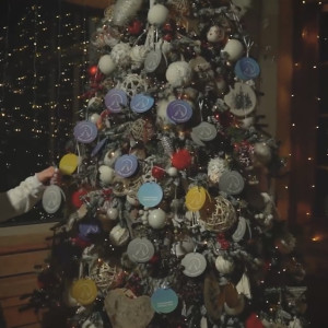 Во Владимирской области запустили «Елку желаний» для больных детей и сирот