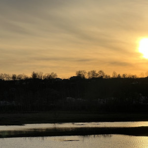 В выходные жителям Владимирской области пообещали солнечную погоду