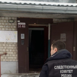 Житель Мурома зарезал приятеля во время застолья на Рождество