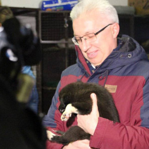 Владимирский депутат будет добиваться отмены решения суда о закрытии приюта «Валента»