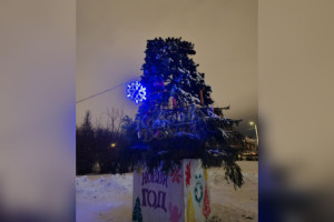В Коврове «обезглавили» новогоднюю ель