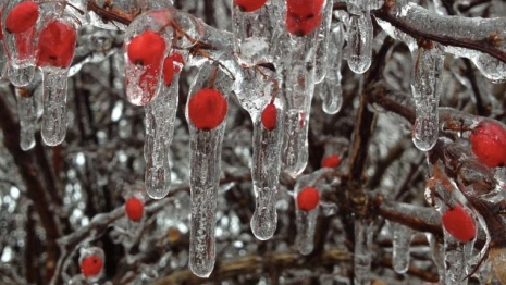 Прогноз погоды во Владимирской области на 28 декабря