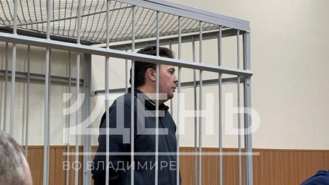 Экс-мэр Владимира на судебном заседании попросился на СВО