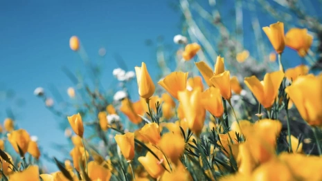 Прогноз погоды во Владимирской области на 23 марта