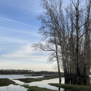 Народные приметы на 23 февраля: что можно и нельзя делать в день Прохора Весновея