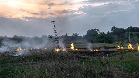 Во Владимирской области пожары за сутки выжгли 3 гектара травы 