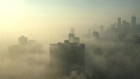 Санврачи рассказали о качестве воздуха после лесных пожаров во Владимирской области  
