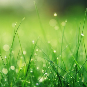 Рабочая неделя во Владимире начнется с потепления и дождей