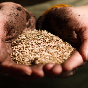 Прокопьев день: что можно и нельзя делать 3 января