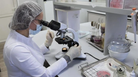 В пельменях владимирского производства нашли листерии