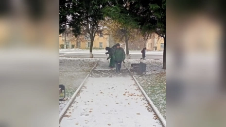 Владимир за ночь засыпало снегом