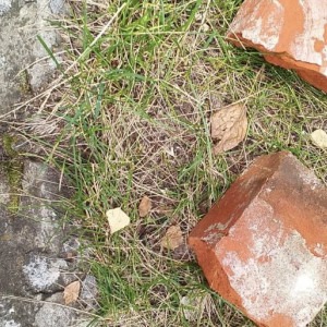 В Лакинске мужчина разбил дорогостоящий Mercedes кирпичом