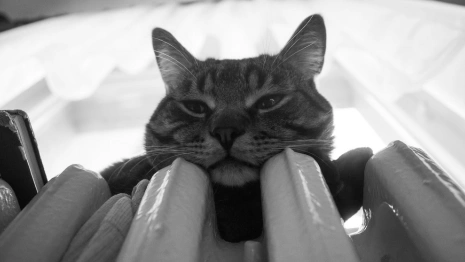 В Коврове замерзавшим в аномальные морозы жителям сделают перерасчет