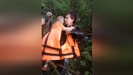 Водолаз из Владимира нашел пропавшего в вологодских лесах 3-летнего мальчика 