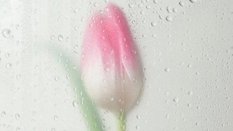 Прогноз погоды во Владимире и области на 6 апреля 2026 года