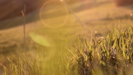 Никифоров день: что можно и чего нельзя делать 26 марта