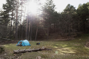 В Суздале обнаружили незаконный палаточный лагерь для детей