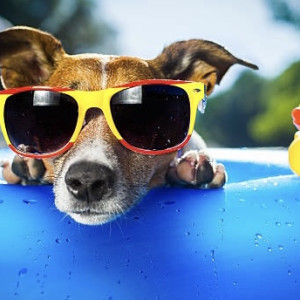 Во Владимирскую область придет новая волна жары