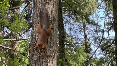 Прогноз погоды во Владимирской области на 7 сентября 2025 года