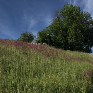 Жители владимирских деревень и сел своими силами собрали 5,3 млн рублей на благоустройство