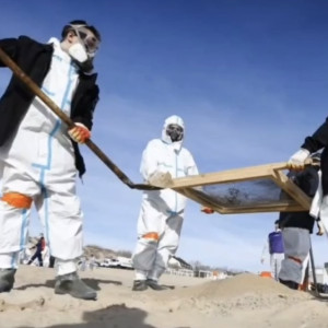 Во Владимирской области начали поиск волонтеров для ликвидации последствий ЧС в Черном море