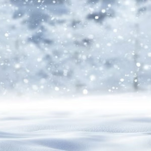 Прогноз погоды во Владимире и области на 14 января