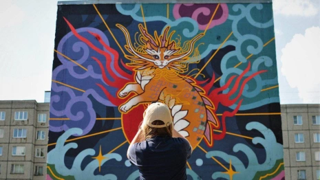 На стене Владимира поселилась дракошка