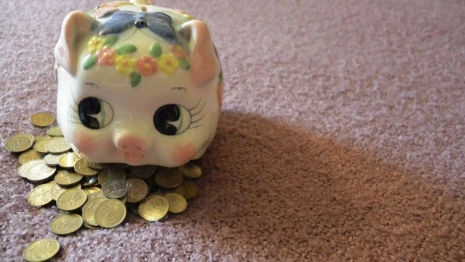 Во Владимирской области неплательщик алиментов задолжал сыну 420 тысяч