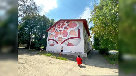 Огромное граффити украсило стену дома во Владимире