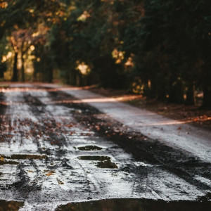 Жителям Владимирской области пообещали аномально теплый конец октября