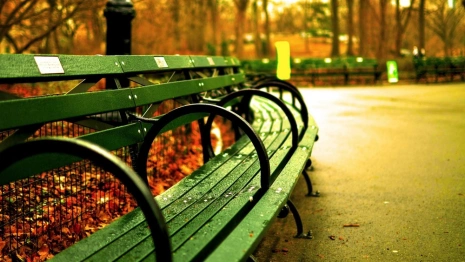 В трех городах Владимирской области за 225 млн рублей создадут новые места для отдыха