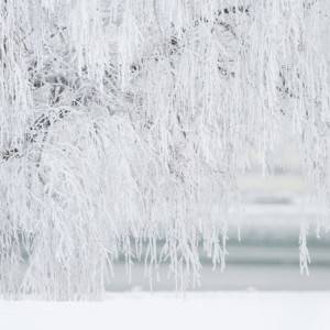Во Владимирской области Рождество окажется рекордно холодным