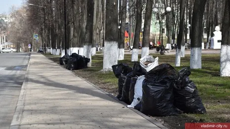 С улиц Владимира за неделю вывезли 130 тонн мусора