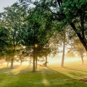 Во Владимире отложили идею застройки лугопарка «Дружба» до экологической экспертизы