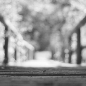 Стали известны подробности спасения пытавшейся спрыгнуть с моста девушки во Владимире