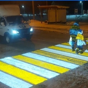 В четырех районах Владимирской области появились проекционные зебры