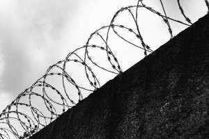 Владимирская область заняла 31 место в рейтинге по уровню преступности