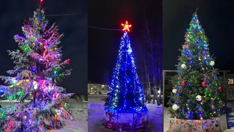 В Ковровском районе выберут лучшую новогоднюю елку