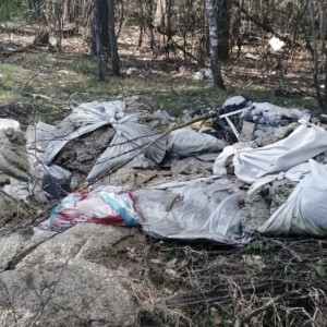 Огромную стихийную свалку в Петушинском районе ликвидируют