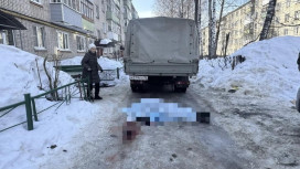 Во Владимире доставщик мебели получил 2 года колонии за смертельное ДТП с бабушкой-пешеходом