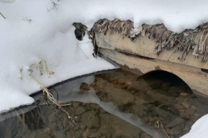Во Владимирской области усилили контроль за чистотой водоемов