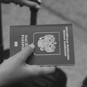 У жителя Владимира собака съела паспорт