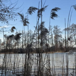 Прогноз погоды во Владимирской области на 13 ноября 2025 года