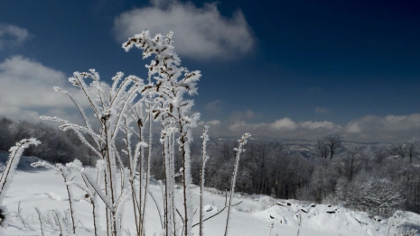 Прогноз погоды во Владимире и области на 20 февраля