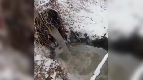 Собинские рыбаки забили тревогу из-за слива сточных вод в реку